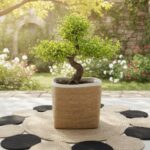 Natural Jute & Seagrass Planter Set – 12" Handwoven Indoor/Outdoor Plant Pot with Liner – Sustainable Home Decor