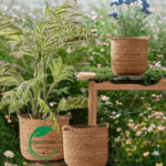 Large Woven Indoor Plant Baskets Eco-Friendly Home Decor Trio