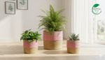 Jute Planter Set with Lace Detail – Trio of Eco-Friendly Indoor Plant Baskets.