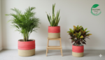 Jute Planter Set with Lace Detail – Trio of Eco-Friendly Indoor Plant Baskets. - Image 6