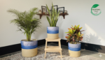 Jute Planter Set with Lace Detail – Trio of Eco-Friendly Indoor Plant Baskets. - Image 2