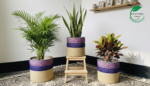 Jute Planter Set with Lace Detail – Trio of Eco-Friendly Indoor Plant Baskets. - Image 3