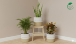 Jute Planter Set with Lace Detail – Trio of Eco-Friendly Indoor Plant Baskets. - Image 5