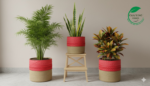 Jute Planter Set with Lace Detail – Trio of Eco-Friendly Indoor Plant Baskets. - Image 4