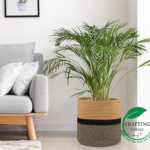 10-Inch Handwoven Jute Basket Planter – Two-Tone