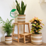 Seagrass & Jute Rope Conical Planter Set of 3 – Eco-Friendly Woven Plant Baskets