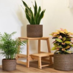 "Eco-Luxury" 3-Piece Conical Seagrass Planter Set