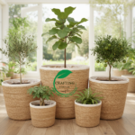 5-Pack Natural Seagrass Nesting Planter Baskets with White Jute Trim