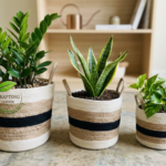 Natural Seagrass Woven Planter Set (3 Pcs) | 6/8/10 Inch Eco-Friendly Indoor Plant Baskets