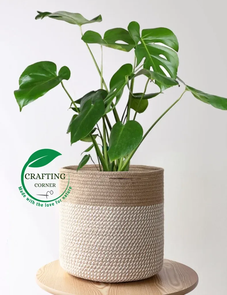 "Crafting Corner" Natural Woven Planter – Two-Tone Neutral Rope Basket for Indoor Plants – Sustainable Home Decor