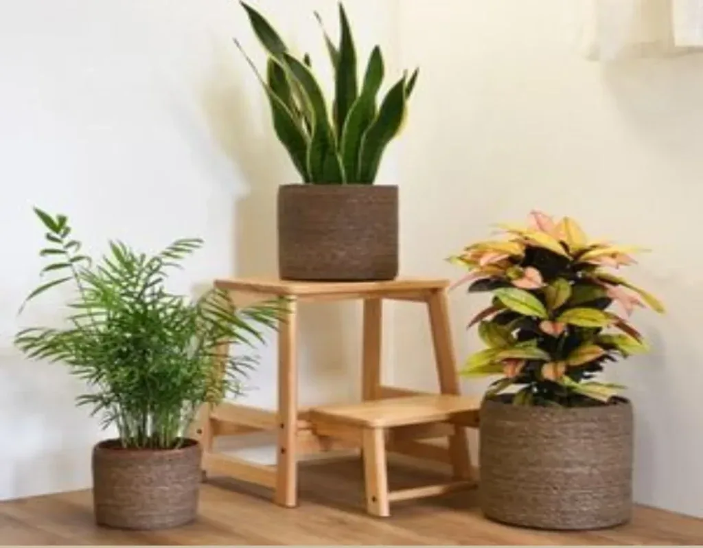 "Eco-Luxury" 3-Piece Conical Seagrass Planter Set